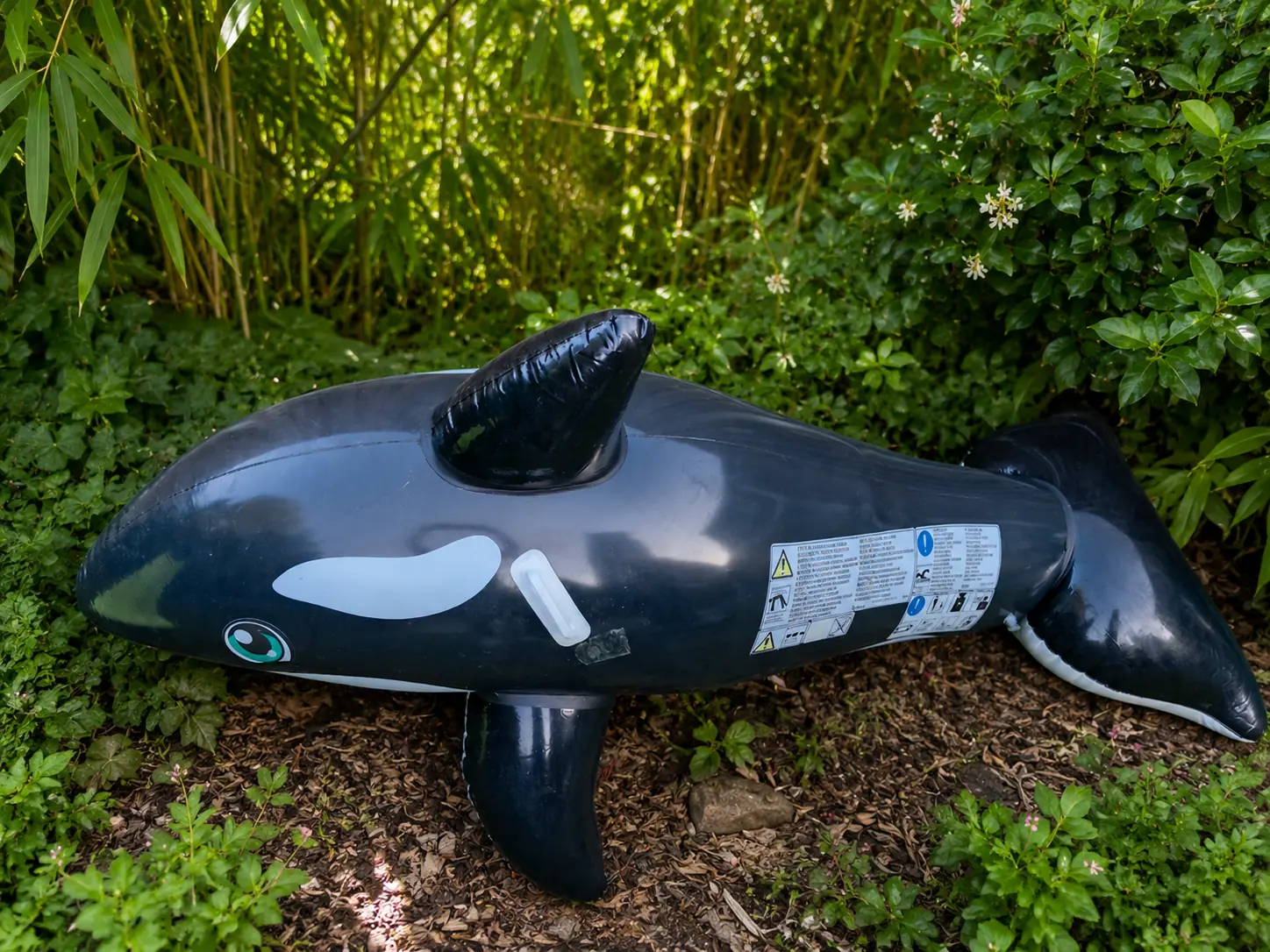 The Allure of Previously Owned Inflatables – Stories, Sensations & Safe Play